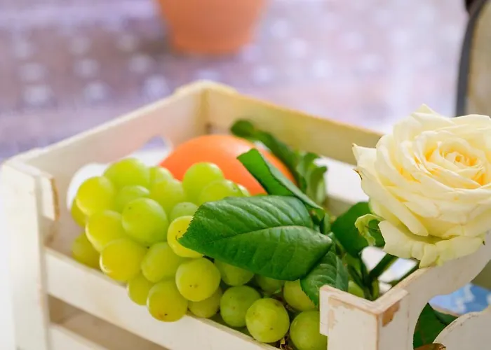 Panorama Apartamento *