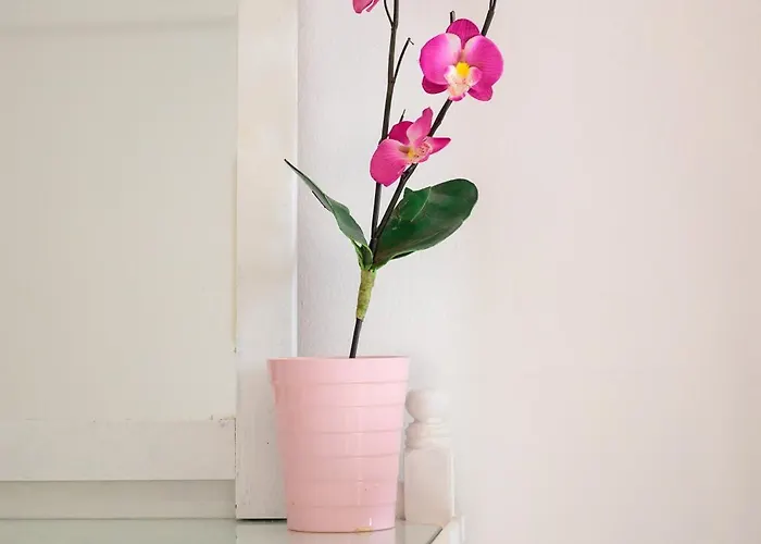 Panorama Appartamento